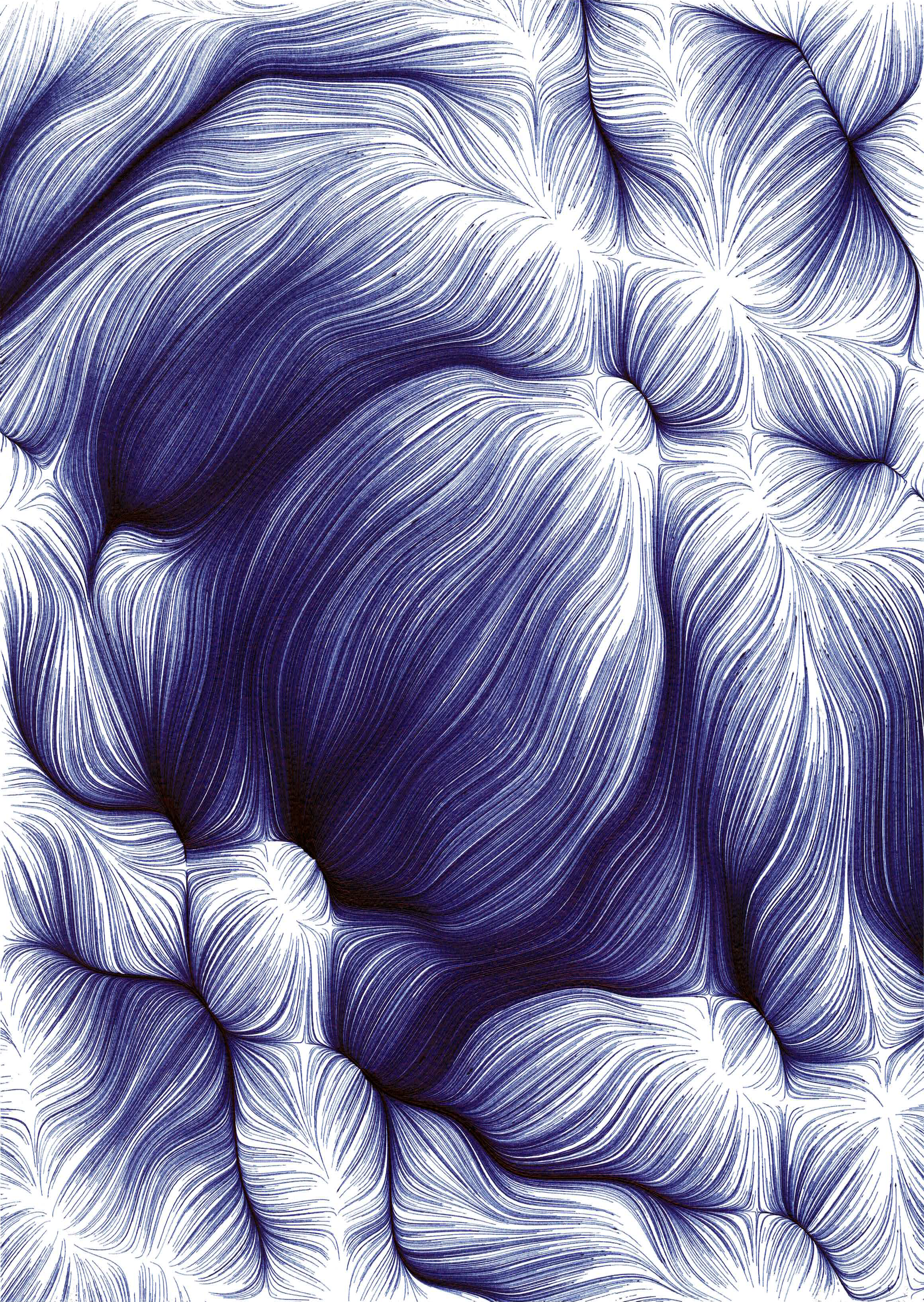 Braids Blue 2