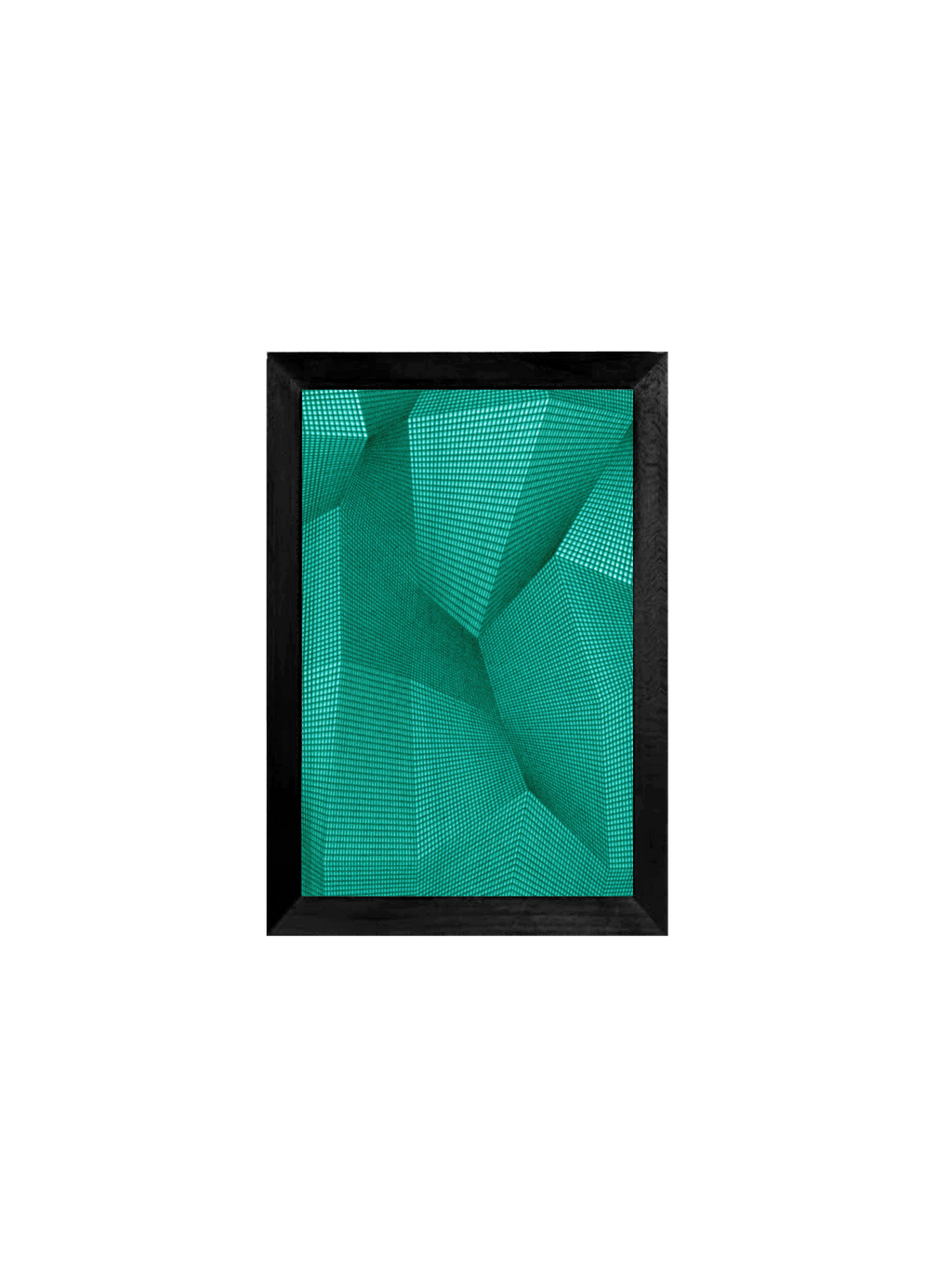 Boide ~ Vert Noir