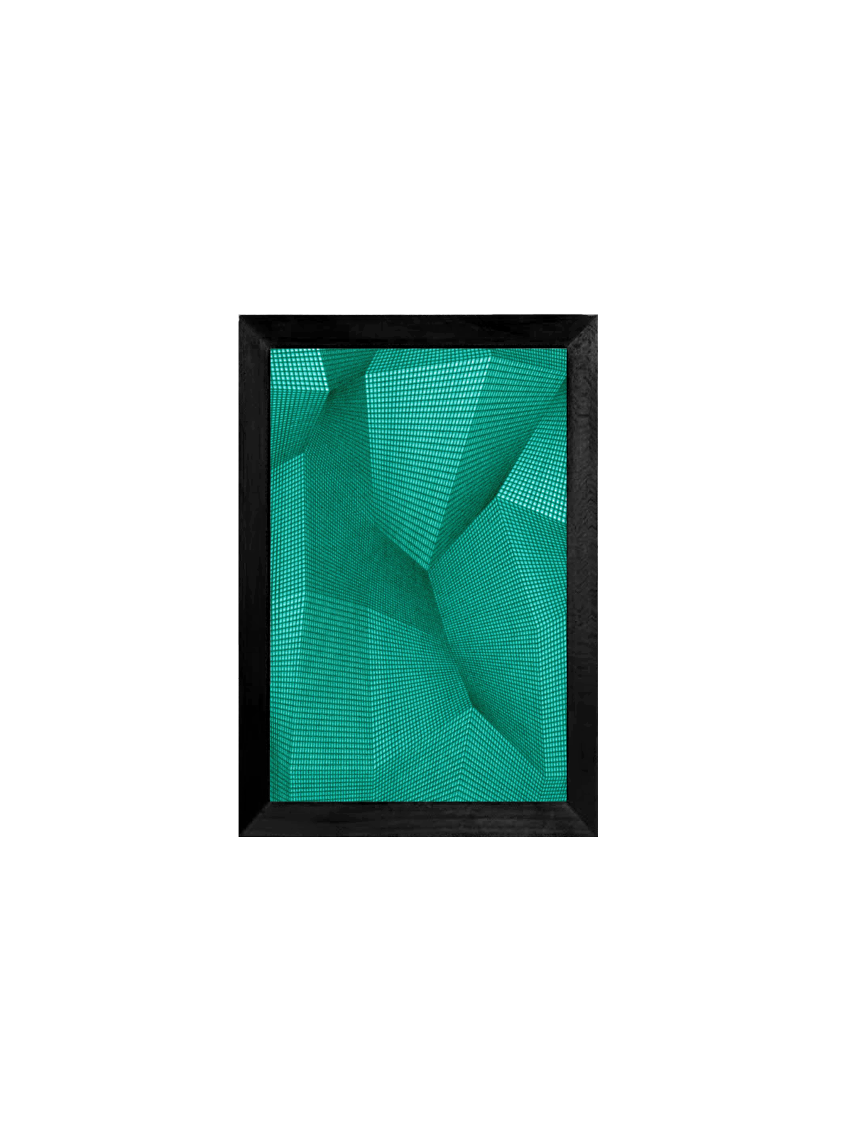 Boide ~ Vert Noir
